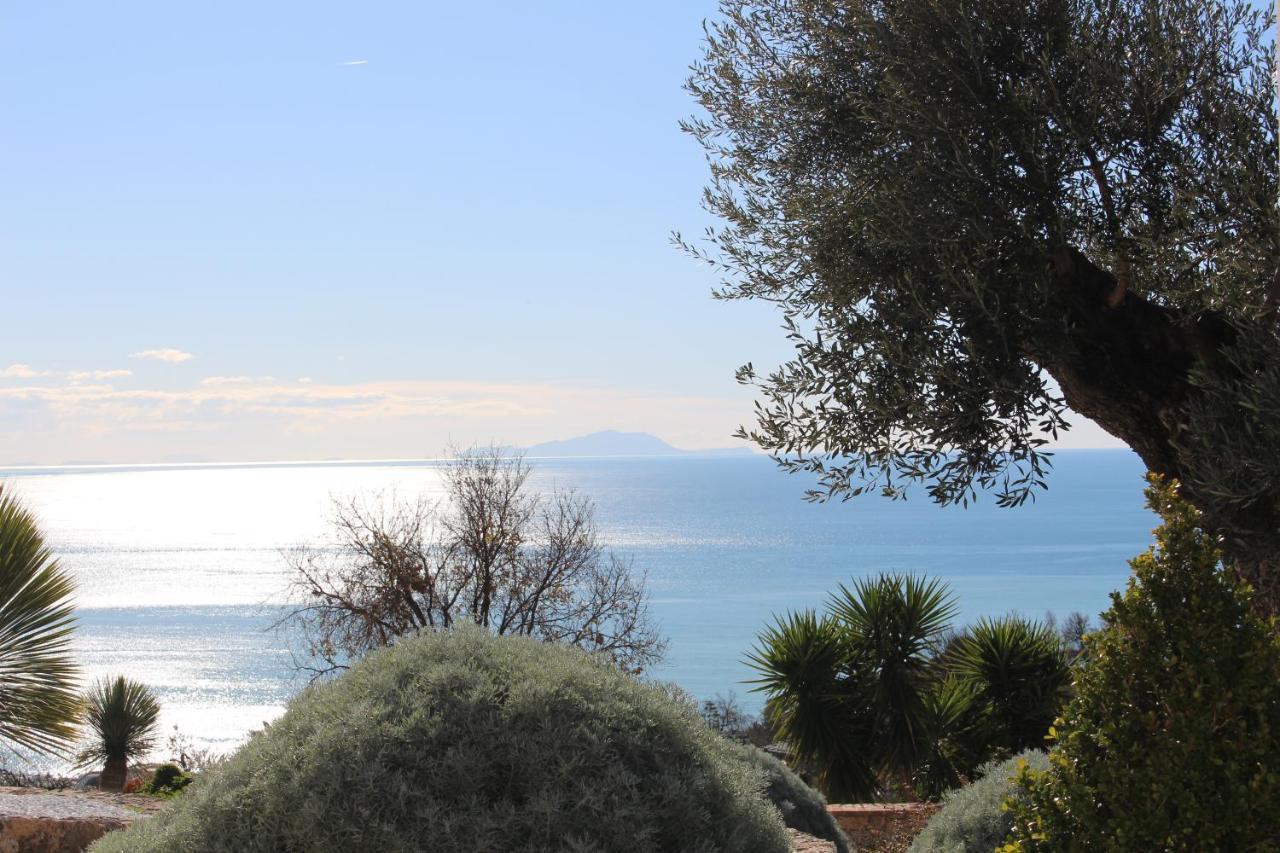 Villa Treglia B&B Zinnowitz Dış mekan fotoğraf