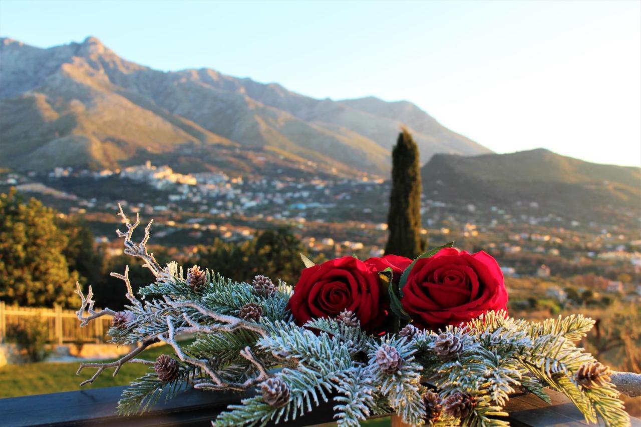 Villa Treglia B&B Zinnowitz Dış mekan fotoğraf