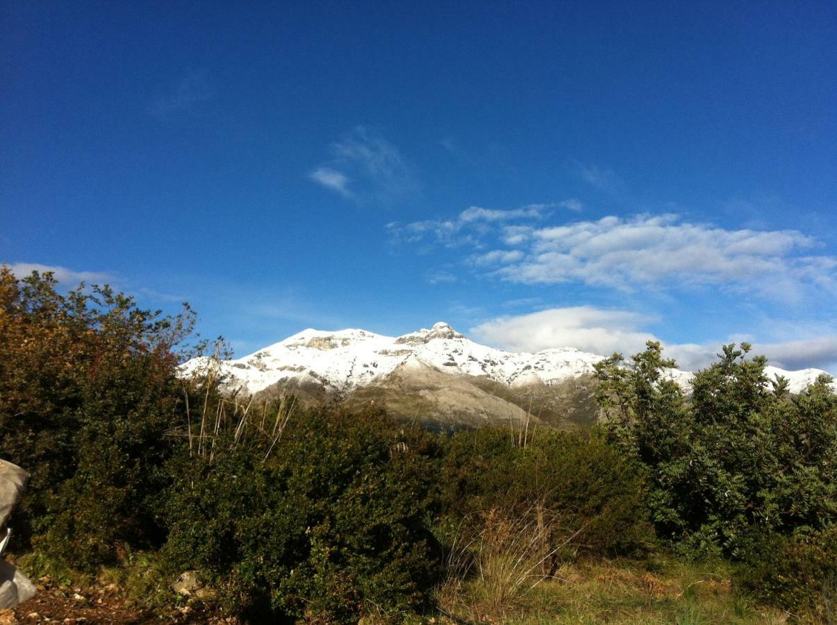 Villa Treglia B&B Zinnowitz Dış mekan fotoğraf