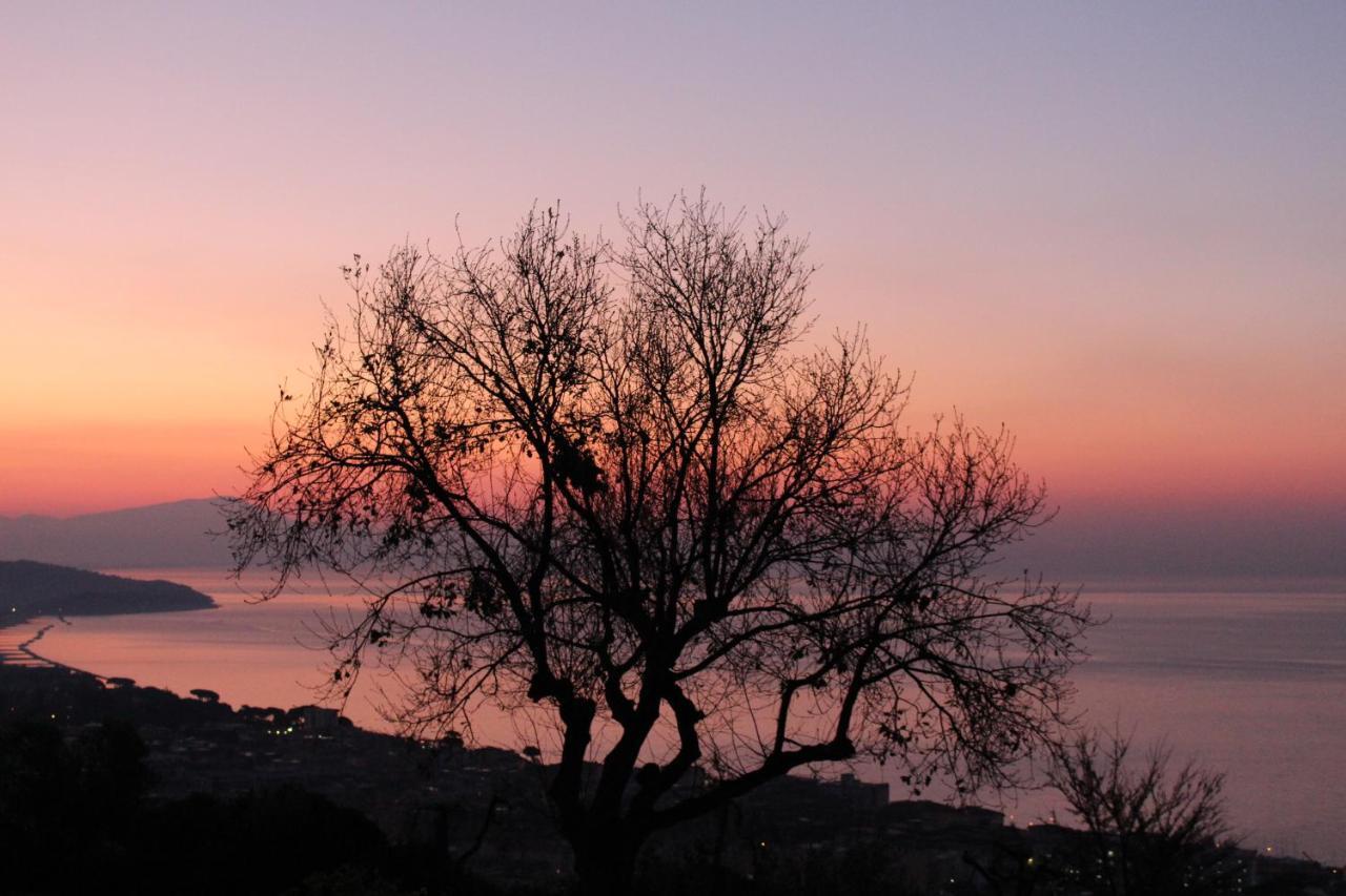Villa Treglia B&B Zinnowitz Dış mekan fotoğraf